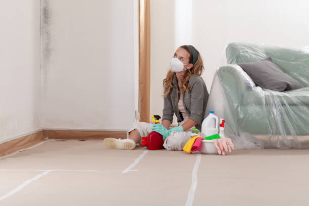 Reliable Mold Testing contractor in Curtis Bay, MD by WQB Mold Removal